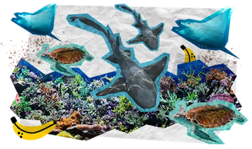 12 Tappe Viaggio MOBILE Guatemala